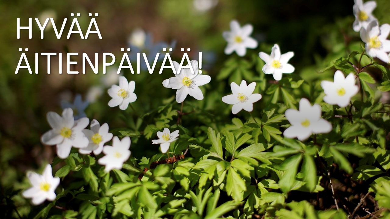 Featured image for “ÄITIENPÄIVÄTARJOUS 10.5.2026”